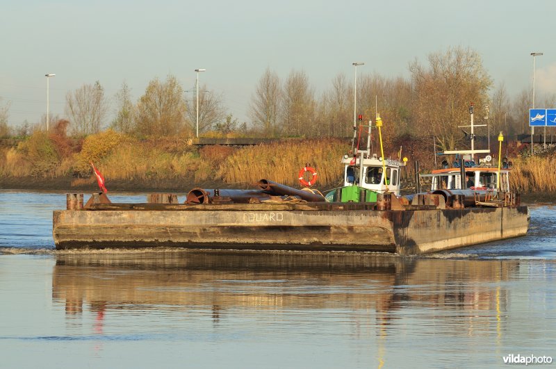 Vrachtboot op de Schelde