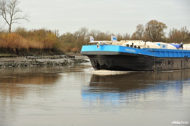 Vrachtboot op de Schelde