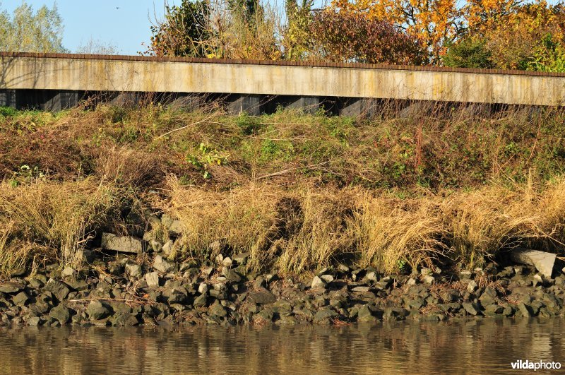 Steenslag langs de oever van de Schelde