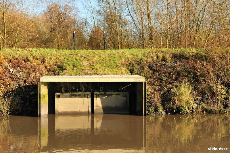 Overstort op de Schelde