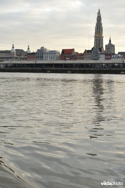 De Schelde te Antwerpen