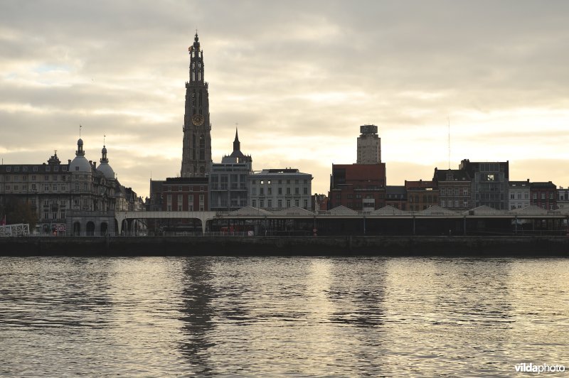 De Schelde te Antwerpen