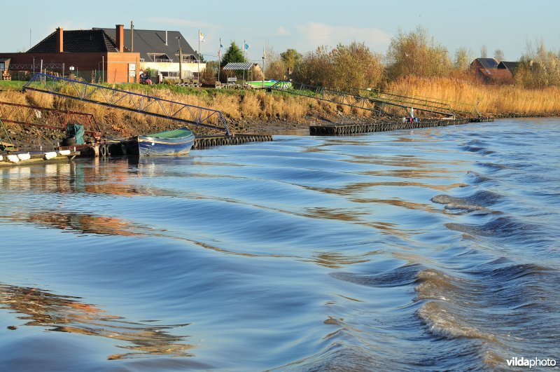Steiger langs de Schelde