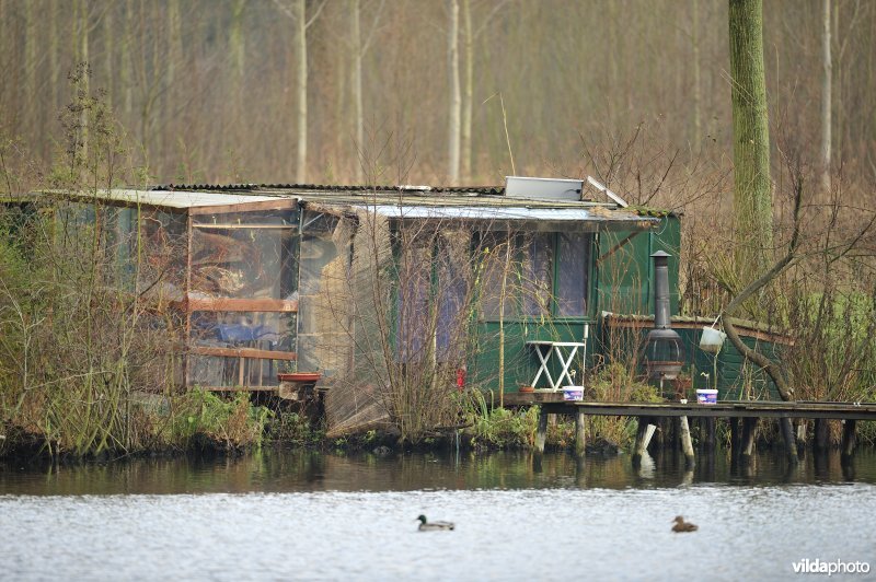 Vakantiehuisjes langs de oude Schelde