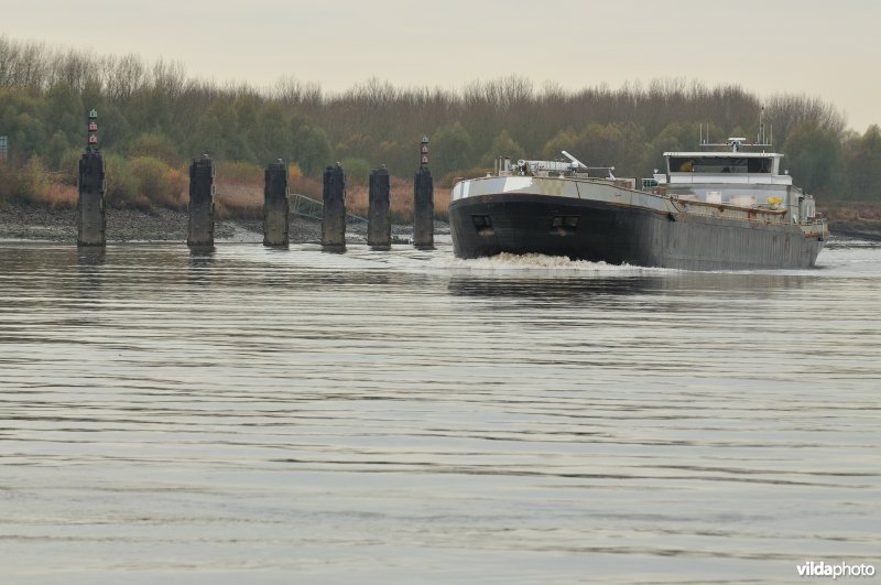 Vrachtboot op de Schelde