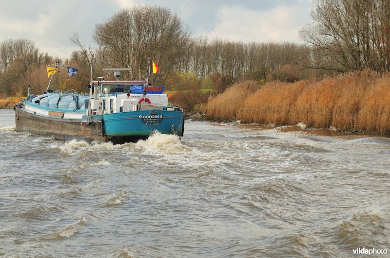 Vrachtboot op de Schelde