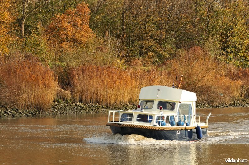 Plezierbootje op de Schelde