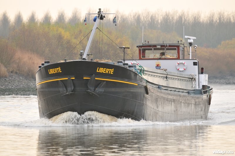 Vrachtboot op de Schelde