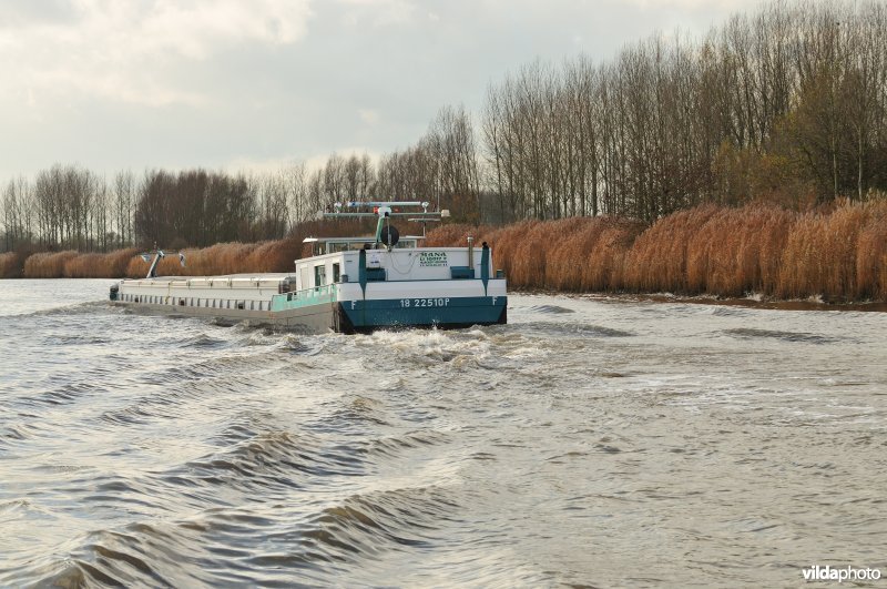 Vrachtboot op de Schelde