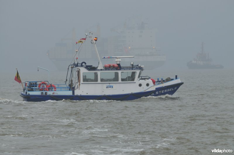 Zeeschelde in de Haven van Antwerpen