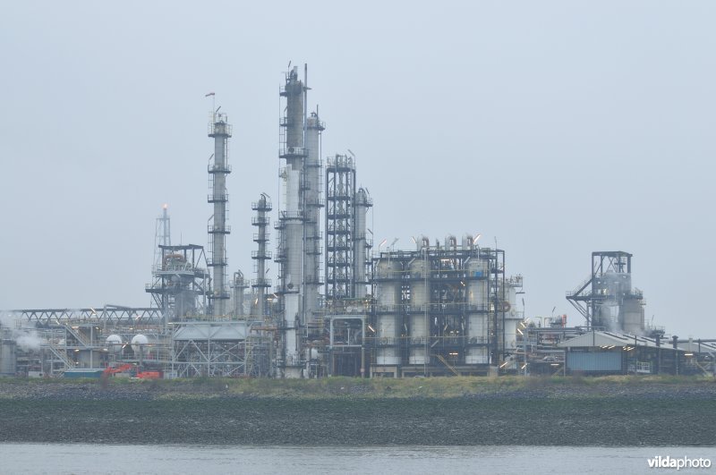 Zeeschelde in de Haven van Antwerpen