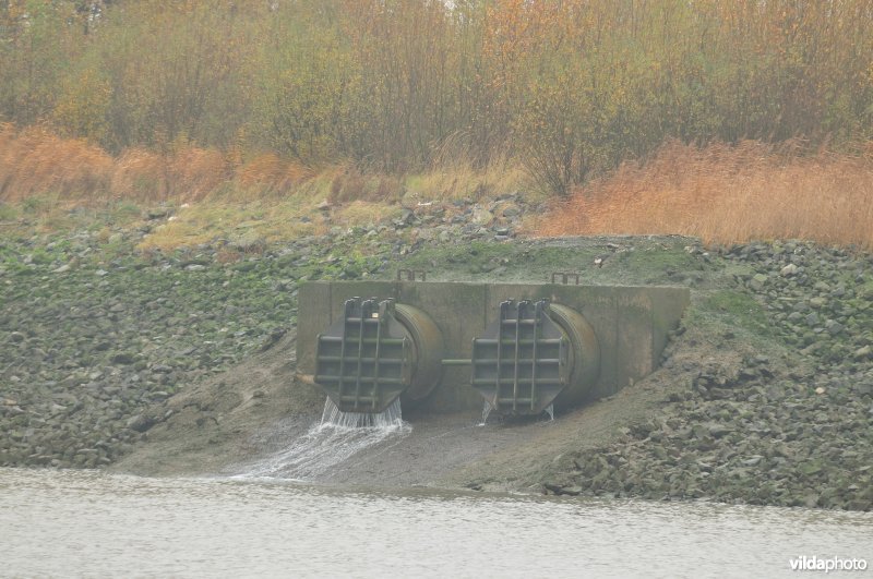 Overstort in de haven van Antwerpen