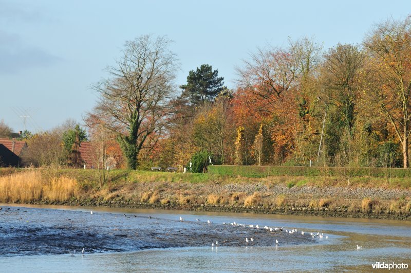 Scheldeschor van Uitbergen