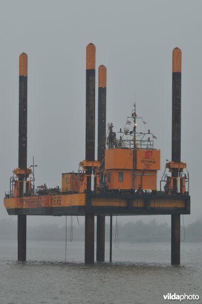 Werkplatform op de Schelde