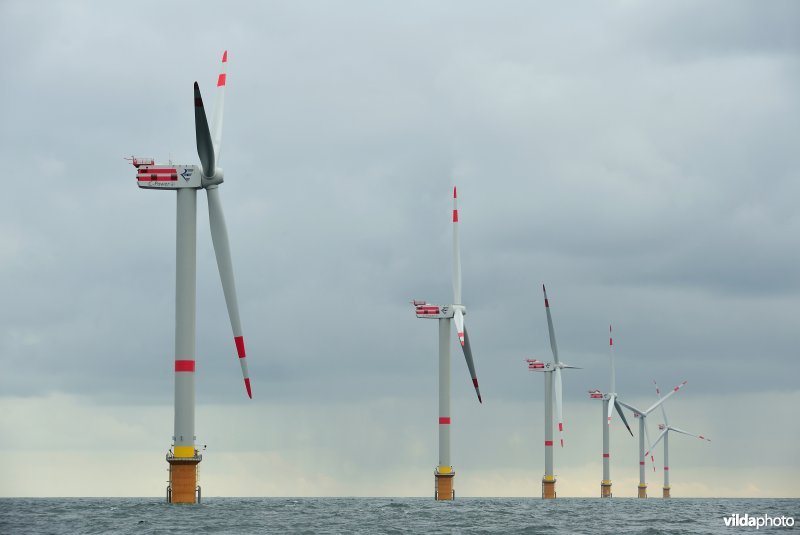 Windmolenpark in de Noordzee