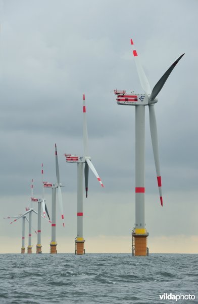 Windmolenpark in de Noordzee