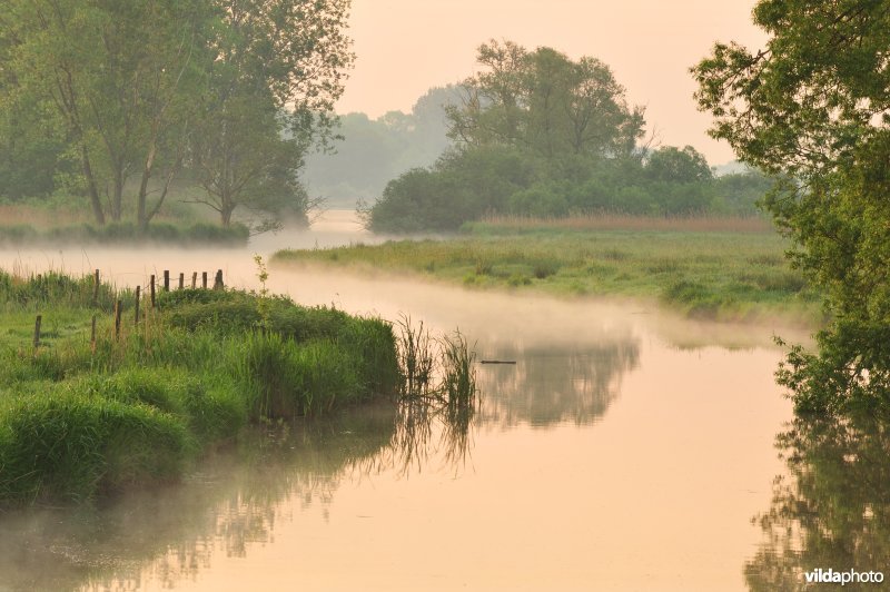 Natuurreservaat de Blankaart