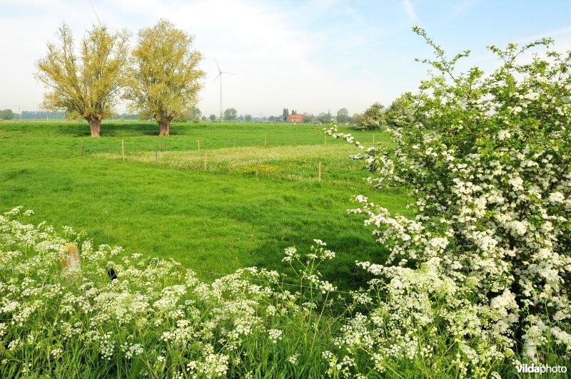 Kleinschalig landschap in  de IJzervallei