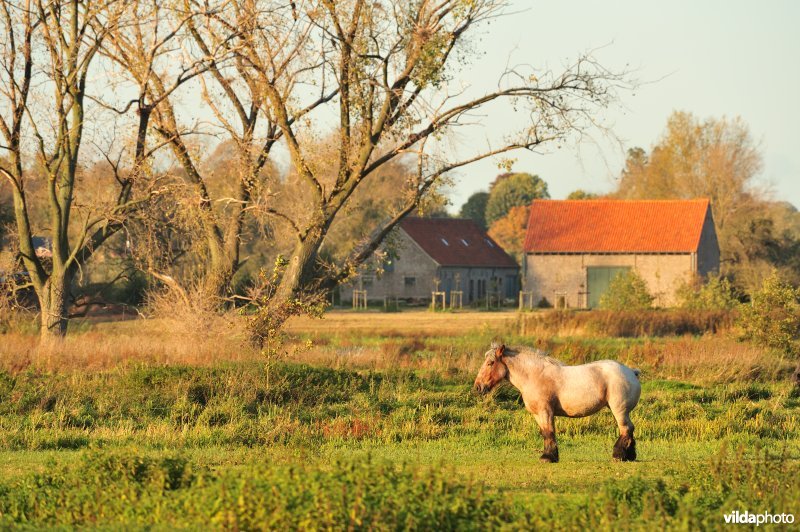 Valkenhuishoeve