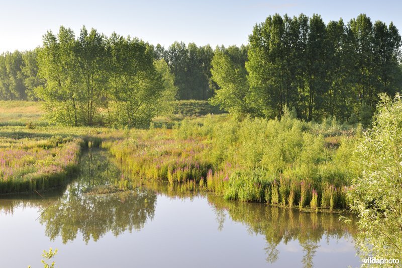 Lippenbroek