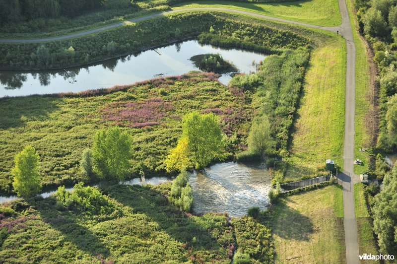 Luchtfoto van het Lippenbroek