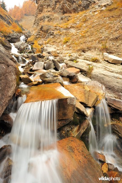 Nationaal park Gran Paradiso