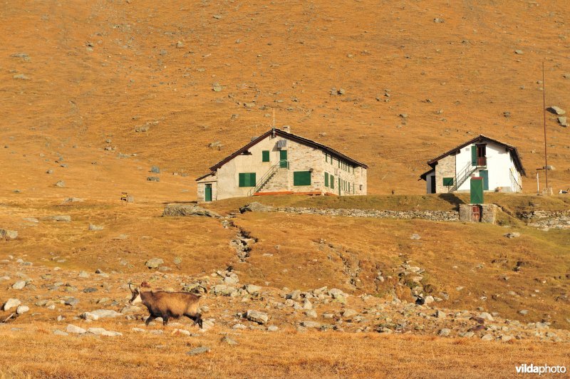 Nationaal park Gran Paradiso