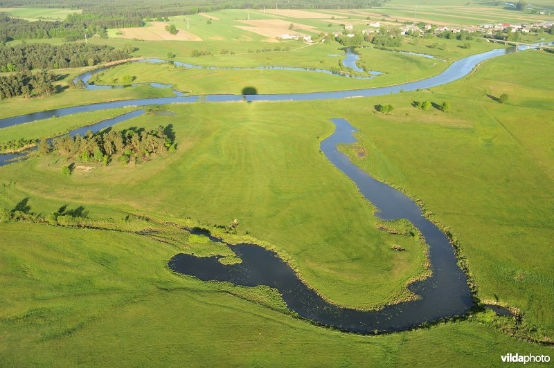 Afgesneden meander van de Narew rivier met landduintje