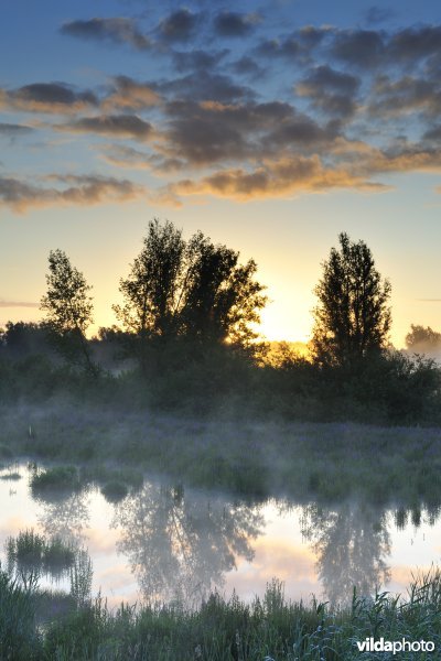 Lippenbroek