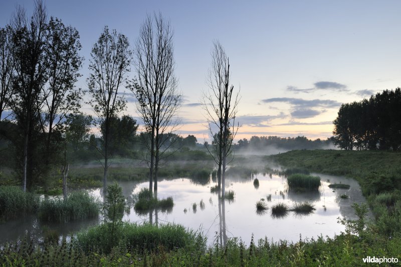 Lippenbroek