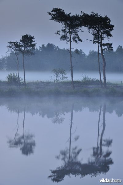 Ven Kleine Klotteraard