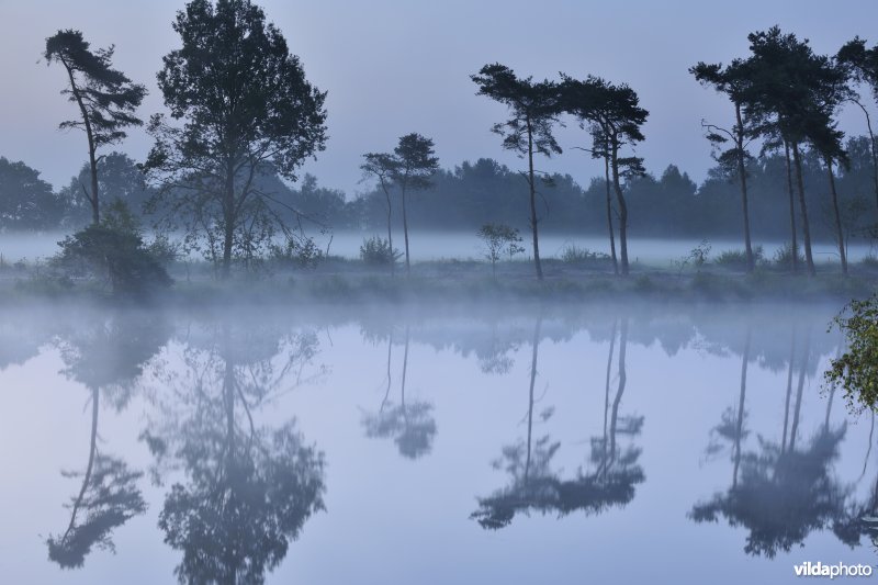 Ven Kleine Klotteraard