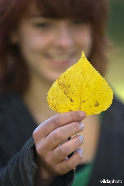 Jonge vrouw met herfstblad