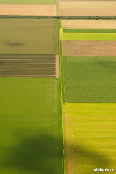 Modern agrarisch cultuurlandschap