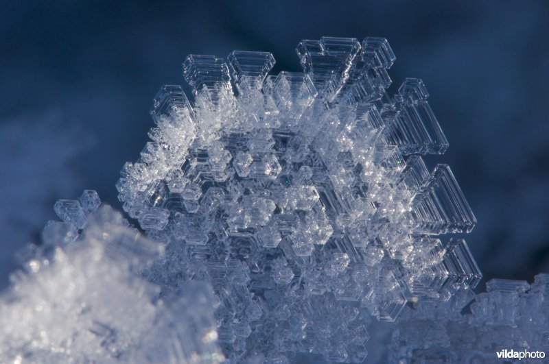 Sneeuwkristallen