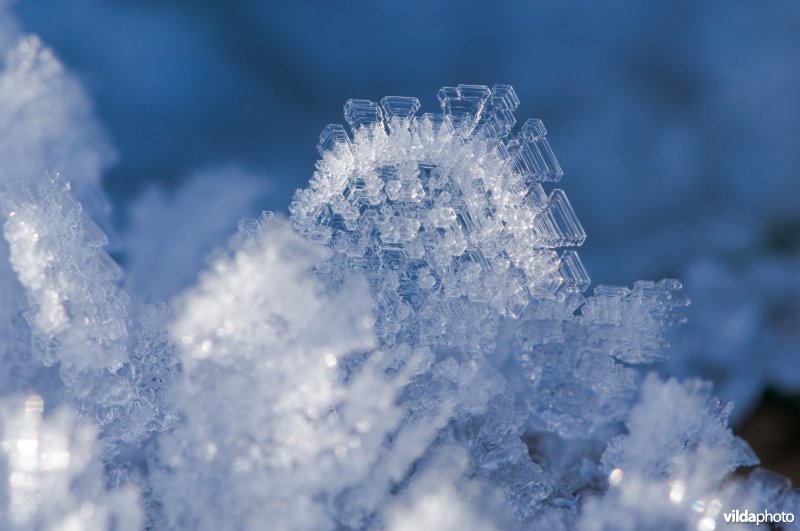Sneeuwkristallen