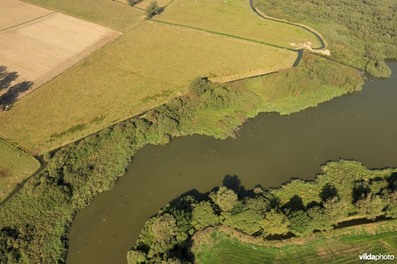 Natuurreservaat De Blankaart
