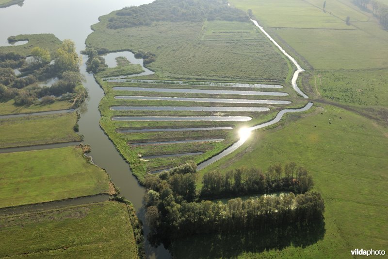 Natuurinrichtingsproject De Blankaart