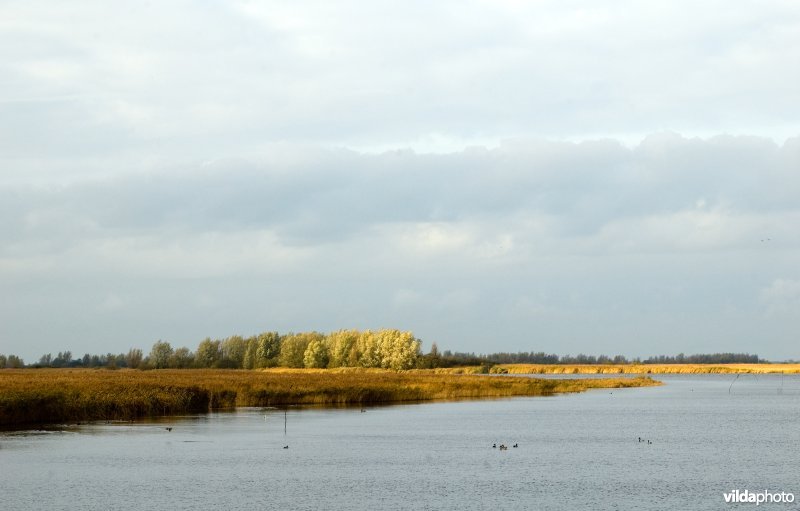 Nationaal Park Lauwersmeer