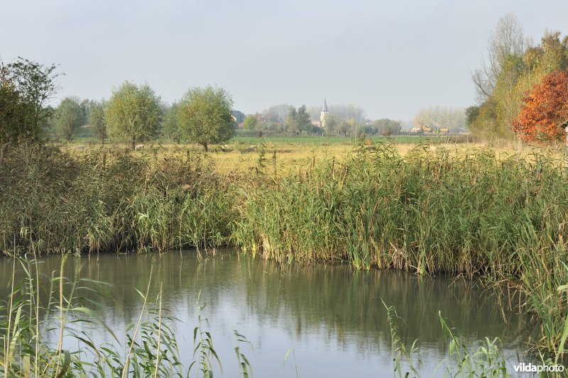 De Weimeersen deel 1 in de Kalkense meersen