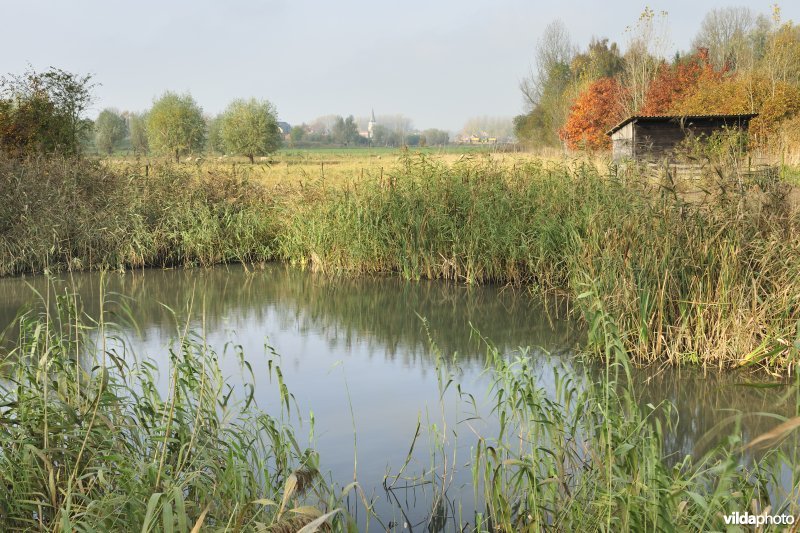 De Weimeersen deel 1 in de Kalkense meersen