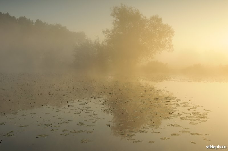 Oude Schelde in de Scherenmeersen