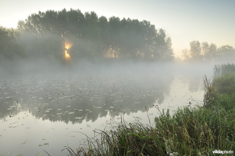 Oude Schelde in de Scherenmeersen