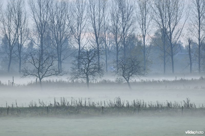 Natuurgebied Weijmeerbroek