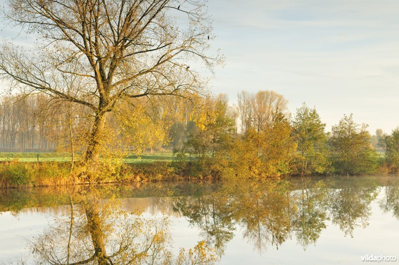 Natuurreservaat de Oude Durme