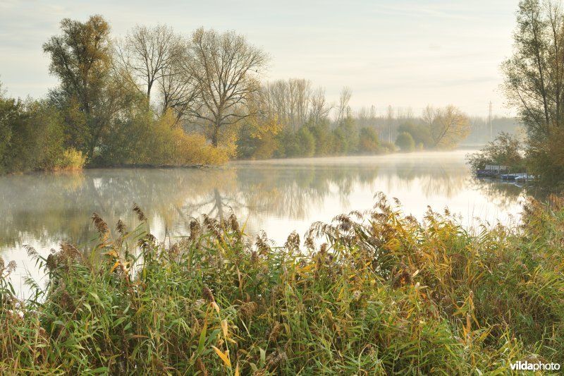 Natuurreservaat de Oude Durme