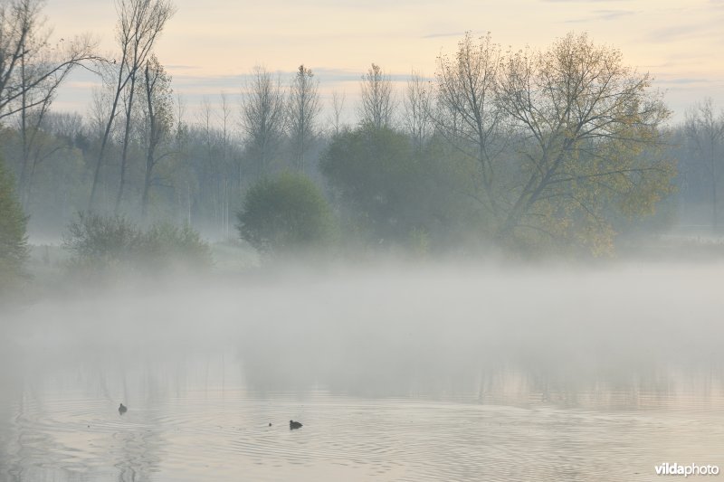 Natuurreservaat de Oude Durme