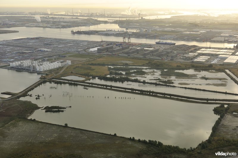 Natuurreservaat Verrebroekse Plassen