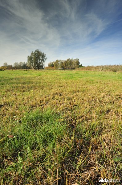 Hagenmeersen in de Durmevallei