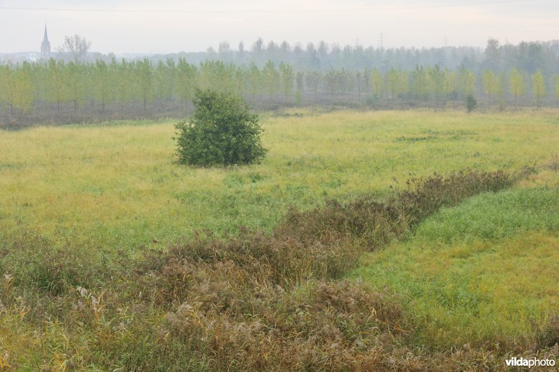 Grote Vijver deel 1 in het Zennegat